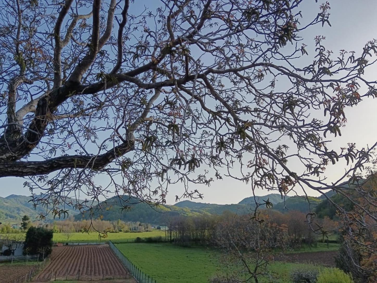 Agriturismo Casa Della Nonna Mormanno Bagian luar foto