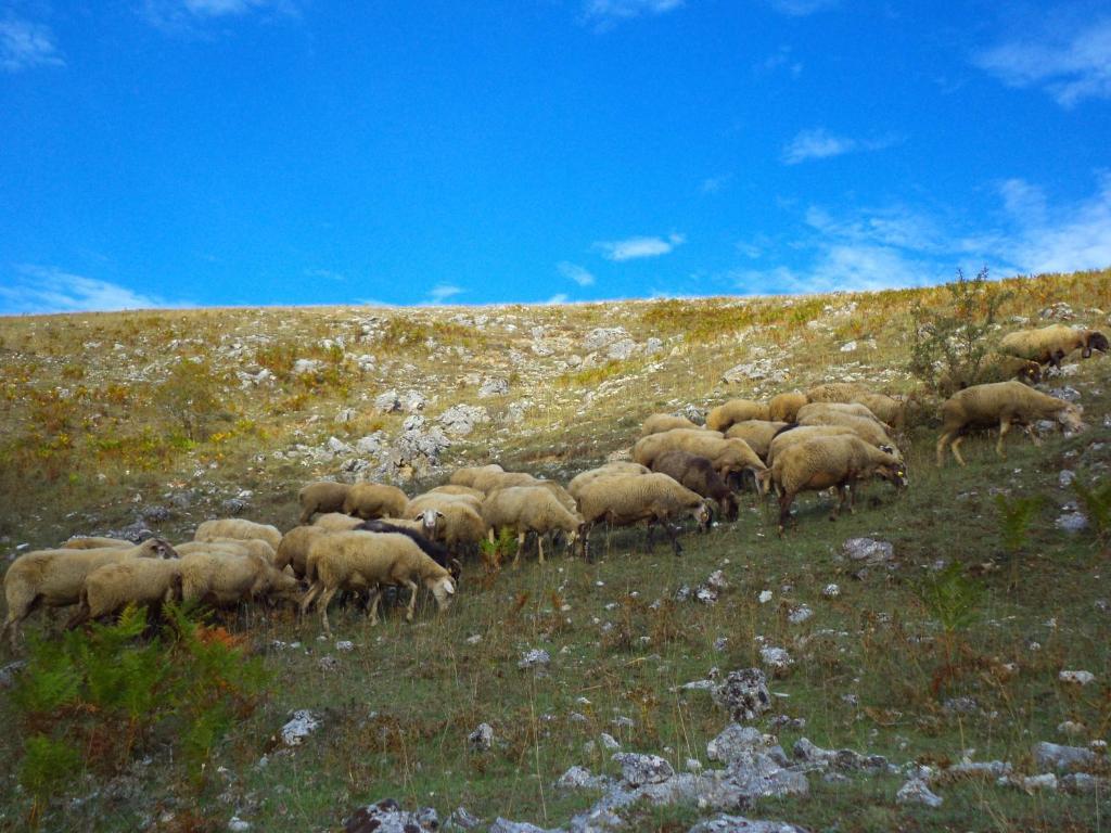 Agriturismo Casa Della Nonna Mormanno Bagian luar foto